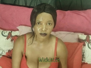 Wildkitten