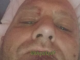 Wildsparky69