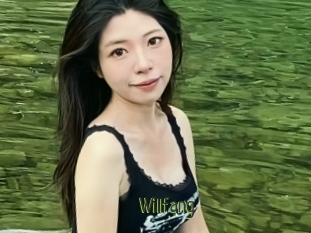 Willfang