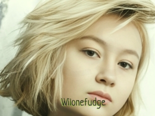 Wilonefudge