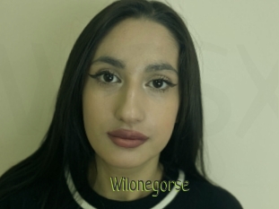 Wilonegorse