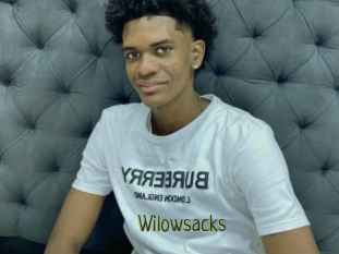 Wilowsacks
