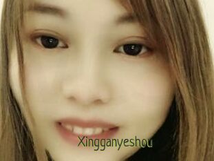 Xingganyeshou