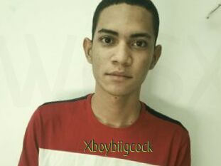 Xboybiigcock