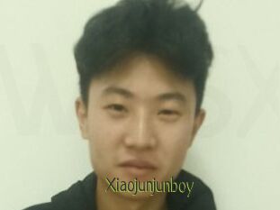 Xiaojunjunboy