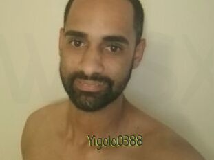 Yigolo0388