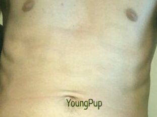 YoungPup