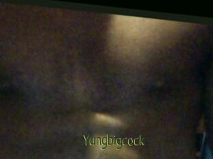 Yungbigcock