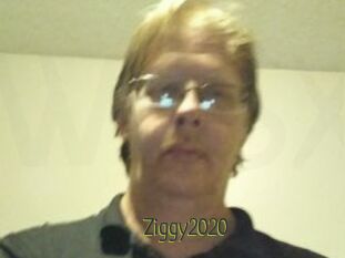 Ziggy2020