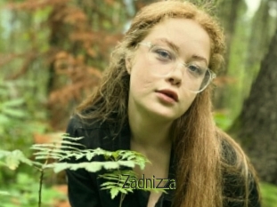 Zadnizza