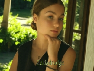 Zeldadrudge