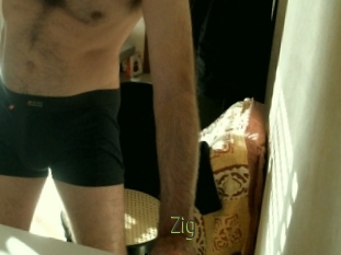 Zig