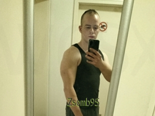 Zsomb95